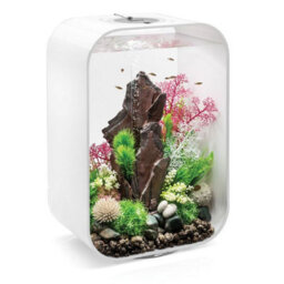 Oase Biorb Life 45L Aquarium Fish Tank In White With Multi Colour Led Lighting - thumbnail 2