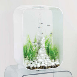 Oase Biorb Life 45L Aquarium Fish Tank In White With Multi Colour Led Lighting - thumbnail 3