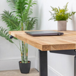 domli D1 Electric Standing Office Desk & Solid Oak Wood Desk Top - 1500mm X 800mm X 27mm Desktop - Sit Stand Electric Adjustable Desk - thumbnail 6