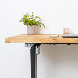 domli D1 Electric Standing Office Desk & Solid Oak Wood Desk Top - 1500mm X 800mm X 27mm Desktop - Sit Stand Electric Adjustable Desk - thumbnail 5