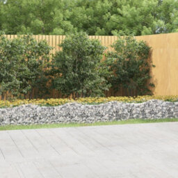 Berkfield Arched Gabion Raised Bed 600X100X50 Cm Galvanised Iron - thumbnail 1