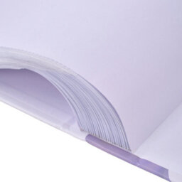 Living And Home 200 Pocket Photo Album Purple Ginkgo Leaf Hardcover Pp Pocket Family Memory Storage Book - thumbnail 7