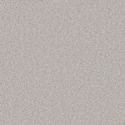 Furlong Flooring Chiltern Twist Carpet (Wolf, 2M X 4M)