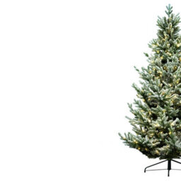 Christmas Tree World The 4Ft/120Cm Pre-Lit Frosted Ultra Mountain Pine - thumbnail 3