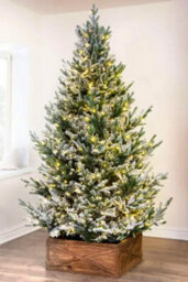 Christmas Tree World The 4Ft/120Cm Pre-Lit Frosted Ultra Mountain Pine