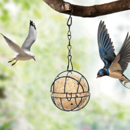 6Pcs Fat Ball Bird Feeder Hanging Metal Fat Ball Bird Holder Set With Hooks - thumbnail 6