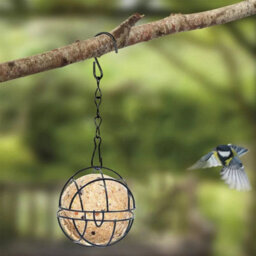 6Pcs Fat Ball Bird Feeder Hanging Metal Fat Ball Bird Holder Set With Hooks - thumbnail 5