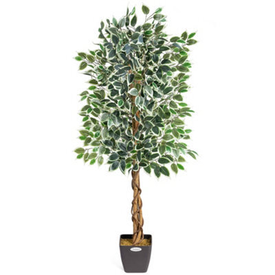 Christow Artificial Variegated Ficus Faux House Plant - image 1