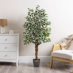 Christow Artificial Variegated Ficus Faux House Plant - thumbnail 2