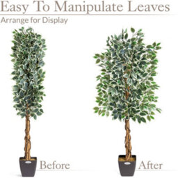 Christow Artificial Variegated Ficus Faux House Plant - thumbnail 6