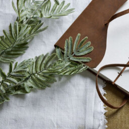 Silver                  Wattle                  Leaf - thumbnail 2