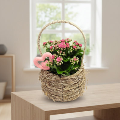 Opm Rs-Vm091902 Love Specials Hengselmand Pot Size 19 Cm Transport Height 30 Not A Plant Hanging Basket Indoor Houseplant