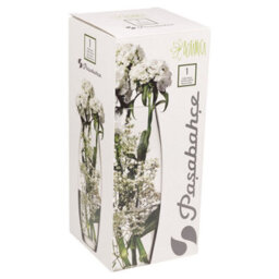 Urbn-Living Pasabahce 600Ml Clear Glass Straight Fluted Rounded Shape Flower Wedding Vase - thumbnail 3