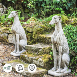 Stunning Pair Of Large Sitting Greyhounds Statues - thumbnail 3