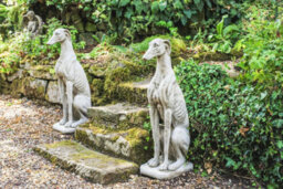 Stunning Pair Of Large Sitting Greyhounds Statues - thumbnail 4