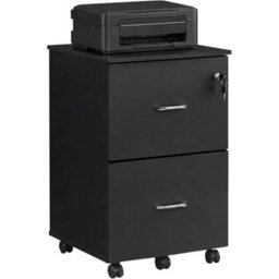 Compact 2-Drawer Rolling File Cabinet For A4 & Letter-Size Files - thumbnail 1