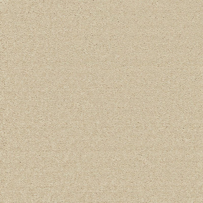 Ecosense Enchantment Elite Carpet By Remland (Cryptic Wood, 3M X 4M)