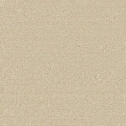 Ecosense Enchantment Elite Carpet By Remland (Cryptic Wood, 3M X 4M)