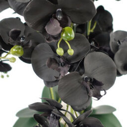 Leaf 60Cm Orchid Artificial Black - Gold Ceramic Planter - thumbnail 3