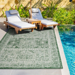Homeart Outdoor Indoor Rug, Easy Clean, Uv Weather Resistant Rug For Patio, Gardenvintage Green, Cream,160X230Cm - thumbnail 2