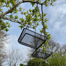 Selections Hanging Metal Bird Seed & Nut Feeder Tray (Pack Of 2) - thumbnail 3