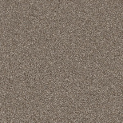 Furlong Flooring Carefree Twist Carpet (Limed Oak, 3M X 4M)