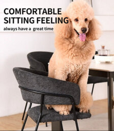 Sonara Modern Set Of 2 Dining Chairs With Ergonomic Armrests, Linen Upholstery And Powder-Coated Steel Frame - thumbnail 5