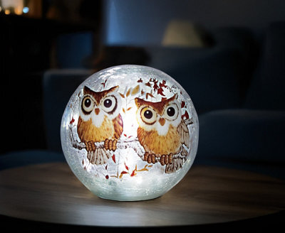 Eldo Led Crackle Glass Owl Lamp With 6  Hour Timer, Battery Operated, 15Cm Diameter