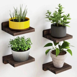 Small Floating Mini Wall Shelves Wooden Display Shelves Brown 4 Pack - thumbnail 3