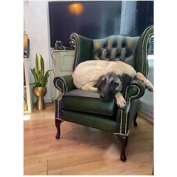 Chesterfield High Back Wing Chair Antique Green Real Leather In Queen Anne Style - thumbnail 3