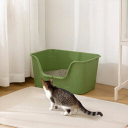 Thehotsale Green Open Top Cat Litter Box With Scoop 45Cm(W) X 38Cm(D) X 22Cm(H) - thumbnail 2
