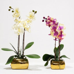 Homescapes Artificial White Orchid In Gold Vase, Set Of 2 Faux Potted Flowers - thumbnail 1