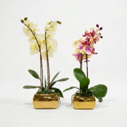 Homescapes Artificial White Orchid In Gold Vase, Set Of 2 Faux Potted Flowers - thumbnail 4