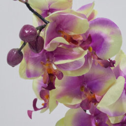 Homescapes Artificial White Orchid In Gold Vase, Set Of 2 Faux Potted Flowers - thumbnail 3