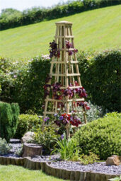 Snowdon Obelisk Wooden Garden Plant Support Rose Flower Climber By Zest Outdoor Living - thumbnail 4