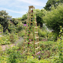 Snowdon Obelisk Wooden Garden Plant Support Rose Flower Climber By Zest Outdoor Living - thumbnail 1