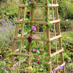 Snowdon Obelisk Wooden Garden Plant Support Rose Flower Climber By Zest Outdoor Living - thumbnail 2
