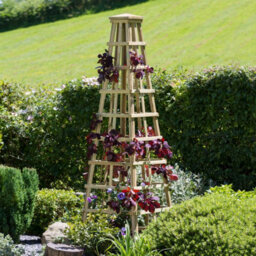 Snowdon Obelisk Wooden Garden Plant Support Rose Flower Climber By Zest Outdoor Living - thumbnail 3