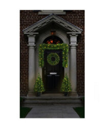 Premier Decorations Limited Christmas Door Porch Decoration Set Pre Lit Pine Wreath Garland & Trees On Timer - thumbnail 1