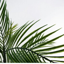 Leaf 90Cm Artificial Palm Tree In Decorative Planter - thumbnail 5