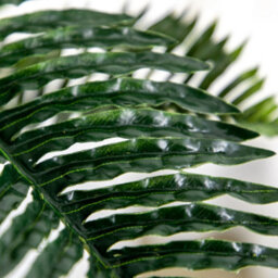 Artificial Palm Tree With 18 Leaves And Pot Included, Faux For Home, Living Room Or Office, 85 Cm Tall, Green - thumbnail 9