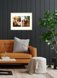 14X11 Inch 2 Opening Photo Collage Frame, Display Two 8X6 Inch Photos, Multi Aperture Family Picture Frame, Gold - thumbnail 3