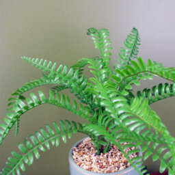 Leaf 40Cm Artificial Fern Plant With Ceramic Planter & Stand - thumbnail 4
