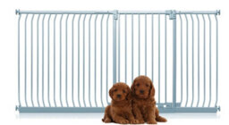 Bettacare Extra Tall Elite Dog Gate, 225Cm - 234Cm, Matt Grey, Extra Tall 96.8Cm In Height, Pressure Fit Pet Gate - thumbnail 1