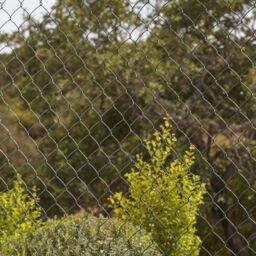Klikstrom 75X100mm Pvc-Coated Wire Mesh Roll, (L)25M (H)1M - thumbnail 2