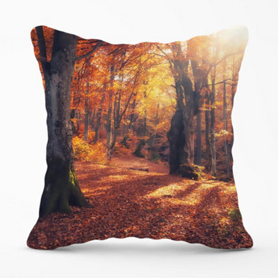 Warren Reed Designer Autumn Forest Cushions 45Cm X 45Cm - image 1
