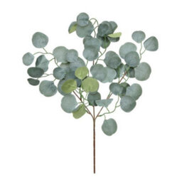 Essential Silver Dollar Artificial Plant - Green - thumbnail 2