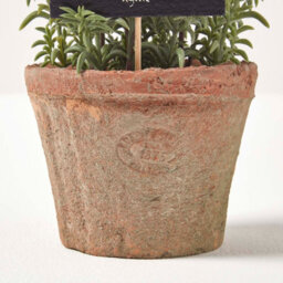 Homescapes Artificial Green Handcrafted Thyme Plant In Decorative Pot, 16 X 14 Cm - thumbnail 3
