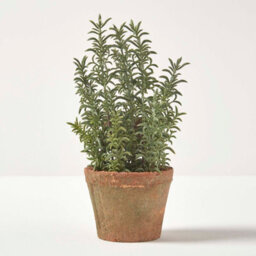 Homescapes Artificial Green Handcrafted Thyme Plant In Decorative Pot, 16 X 14 Cm - thumbnail 4