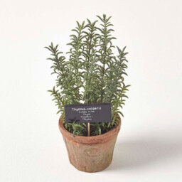 Homescapes Artificial Green Handcrafted Thyme Plant In Decorative Pot, 16 X 14 Cm - thumbnail 7